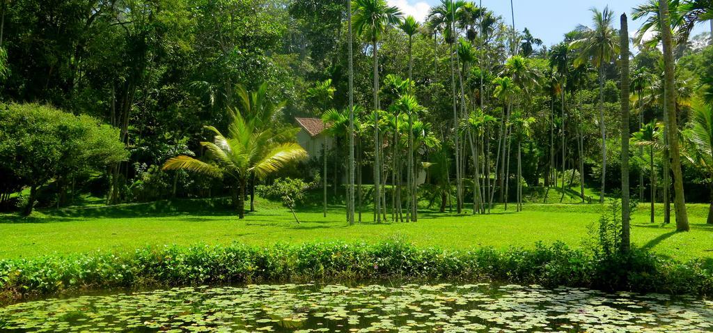 Siri Wedamadura Villa Weligama Rom bilde