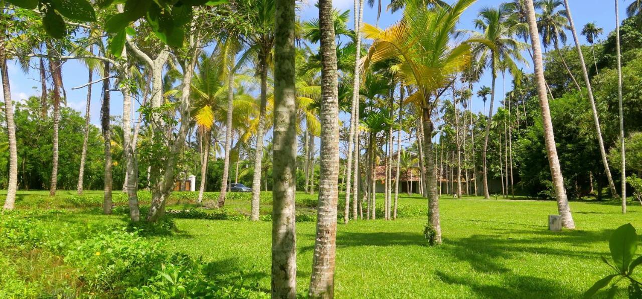 Siri Wedamadura Villa Weligama Rom bilde